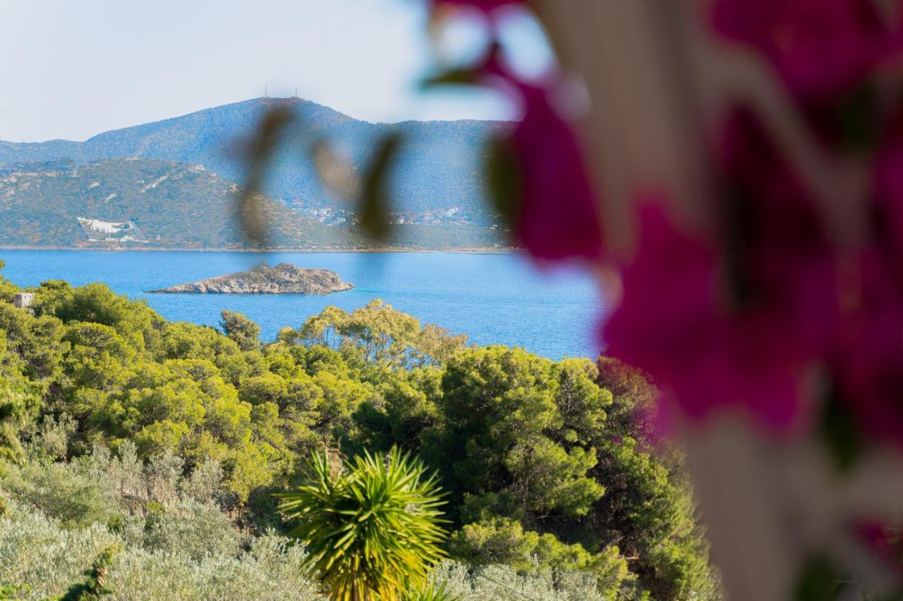 Villa Beis Πόρτο Ράφτη Εξωτερικό φωτογραφία